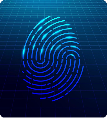 Biometric Idetification Systems